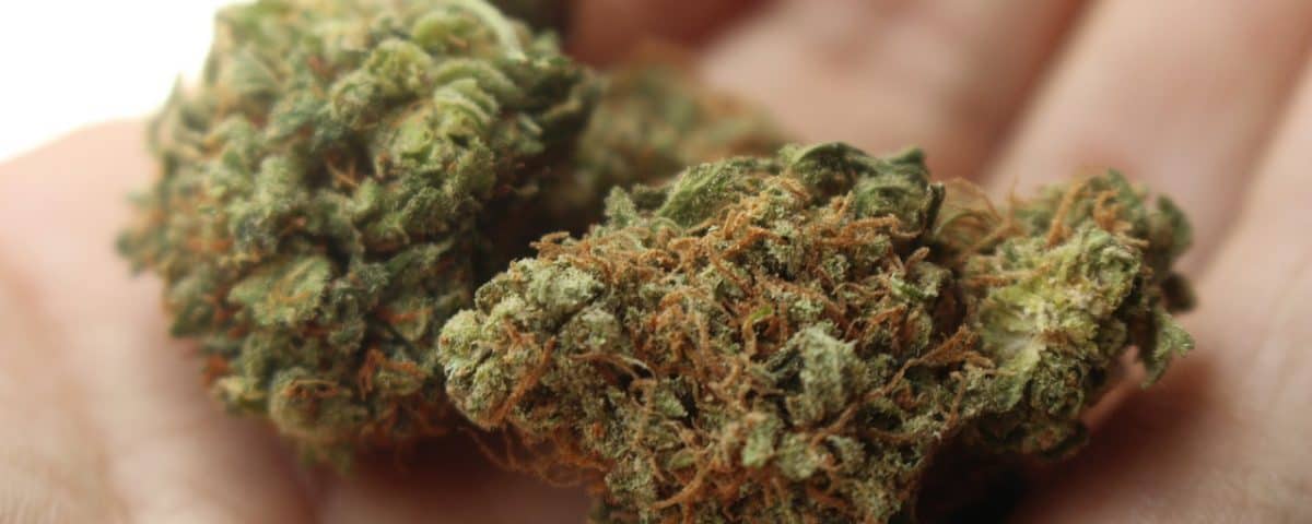 Medical Cannabis Uses