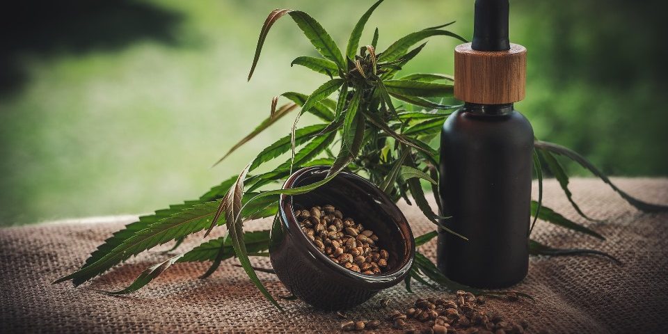 Medical Cannabis investments in Greece