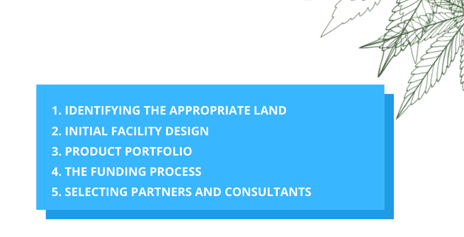 The five critical strategic decisions for a Medical Cannabis Investment in Greece